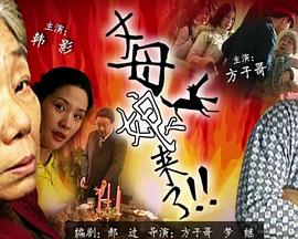 夜夜骚视频在线观看精品观看